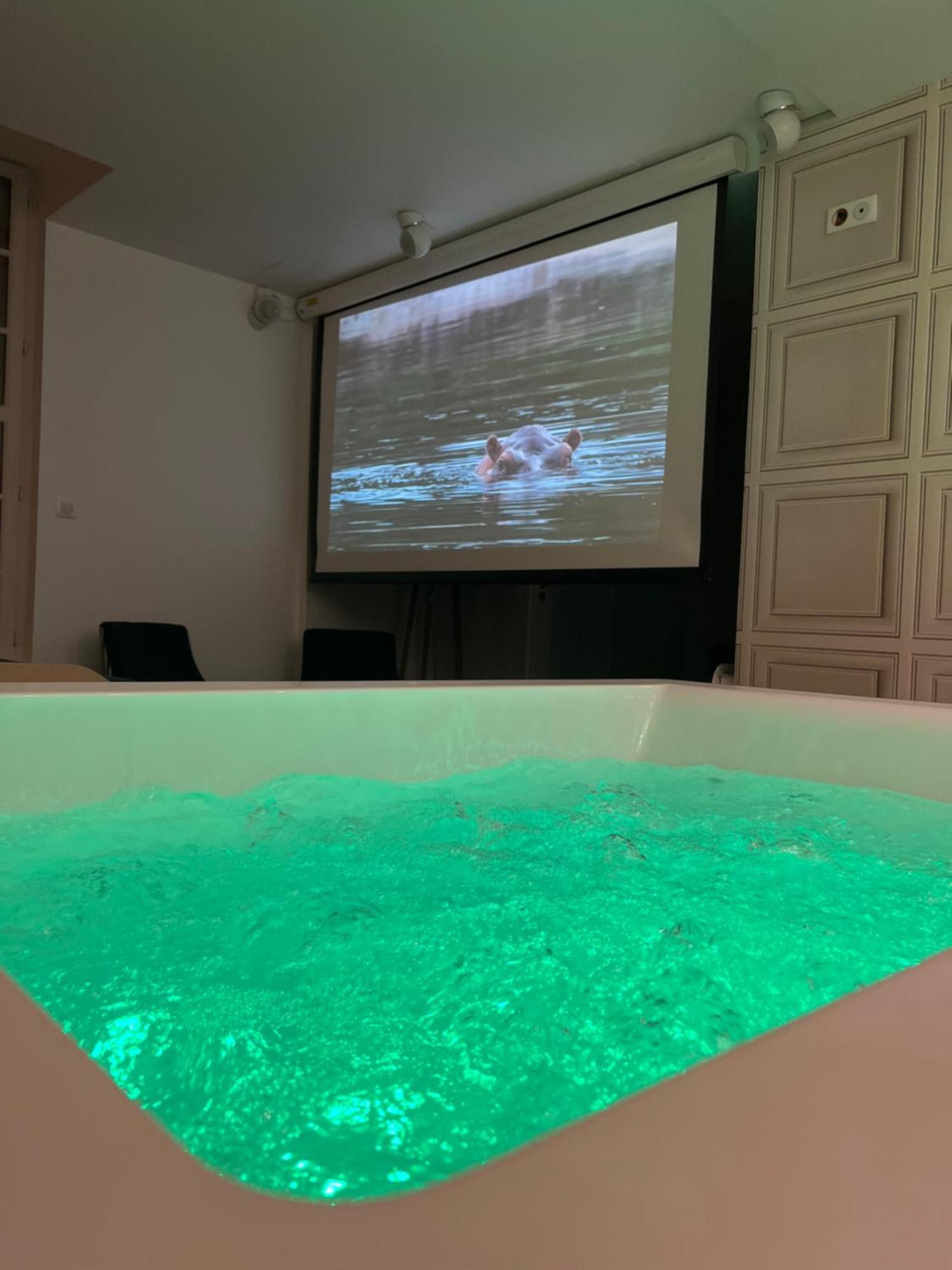 Appartement Avec Jacuzzi Sauna & Home Cinema - Nid D'Angers Dış mekan fotoğraf